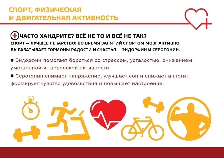 Изображения.